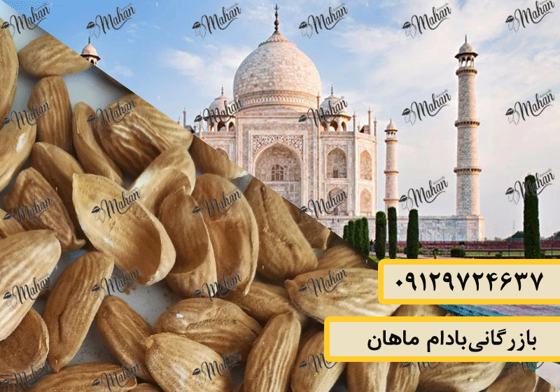 قیمت بادام مامایی در هند
