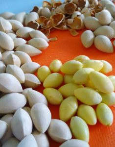 مراکز عرضه کننده انواع بادام سفید