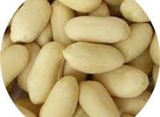 مراکز عرضه کننده انواع بادام سفید